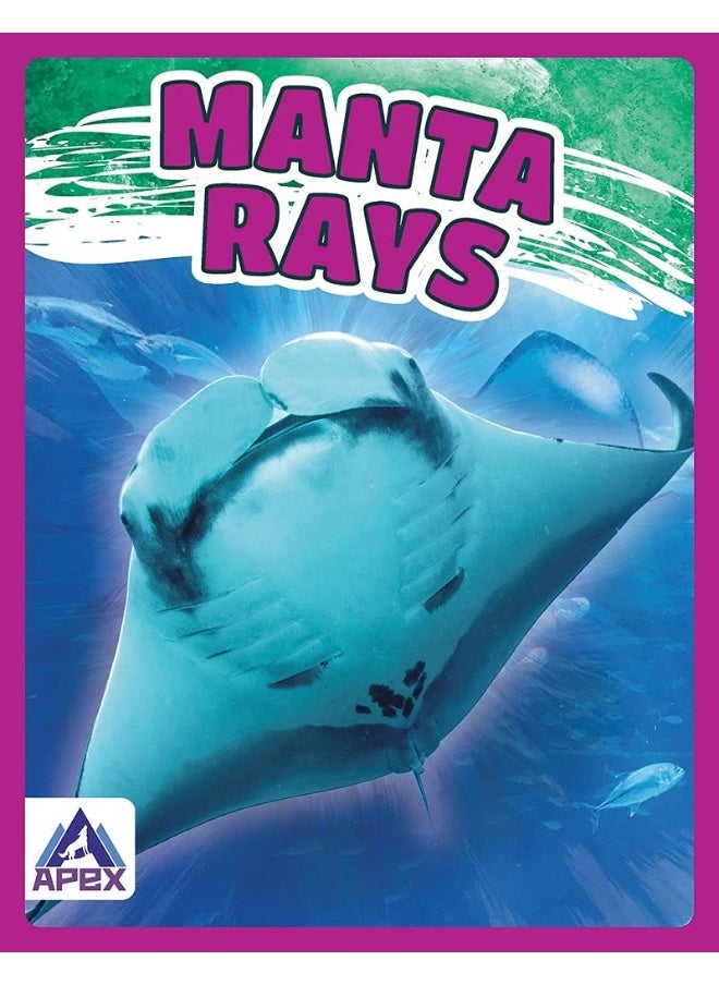 null - Giants of the Sea: Manta Rays - Image 1
