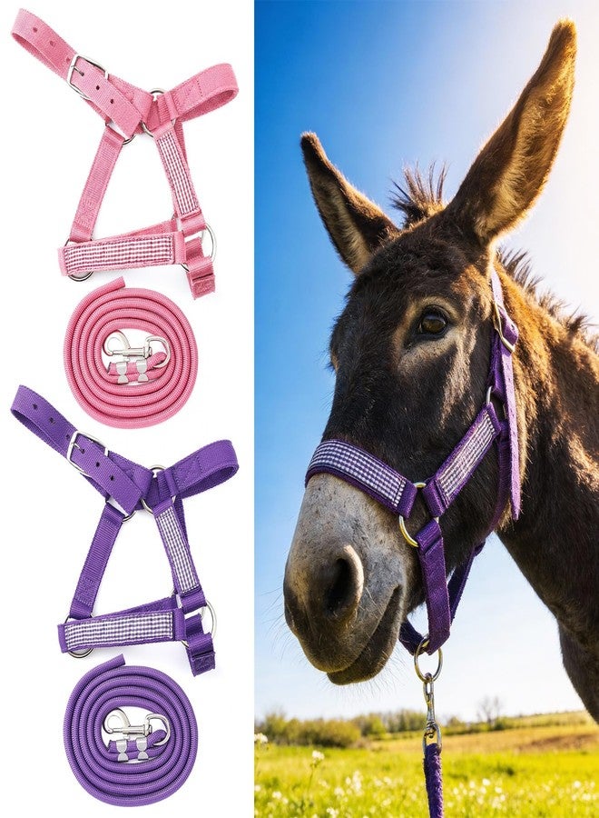 Yeyeplum 2 Set Miniature Donkey Halter with Lead Ropes, Cute and Stylish Adjustable Purple & Pink Nylon Head Collar Set for Miniature Donkeys - Image 1