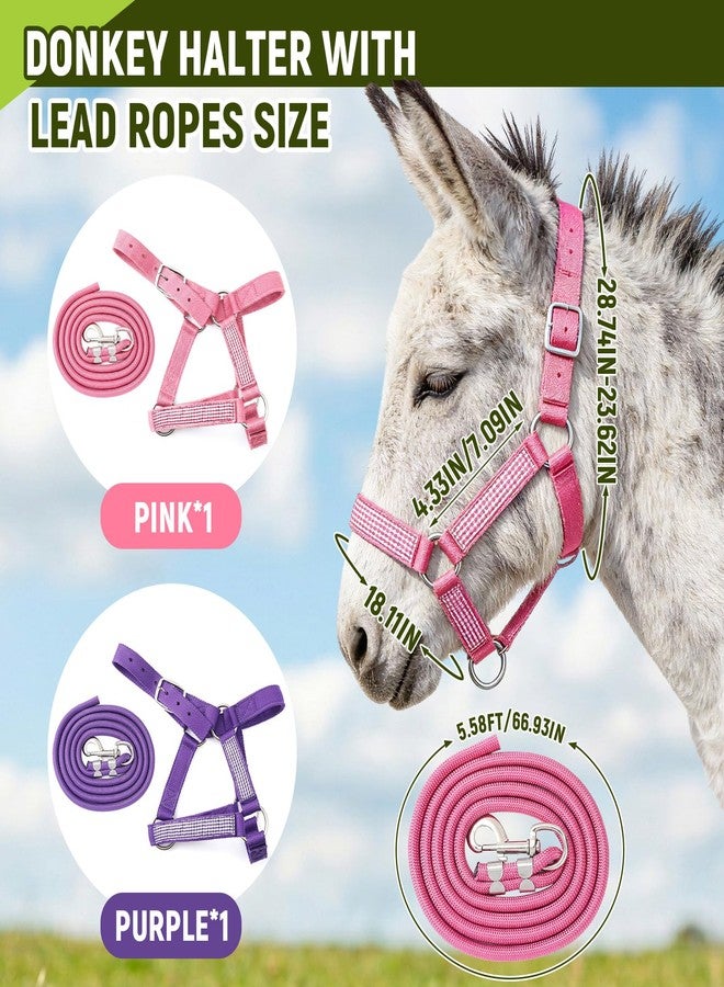 Yeyeplum 2 Set Miniature Donkey Halter with Lead Ropes, Cute and Stylish Adjustable Purple & Pink Nylon Head Collar Set for Miniature Donkeys - Image 2