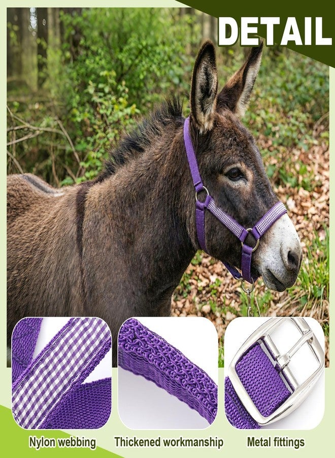 Yeyeplum 2 Set Miniature Donkey Halter with Lead Ropes, Cute and Stylish Adjustable Purple & Pink Nylon Head Collar Set for Miniature Donkeys - Image 3
