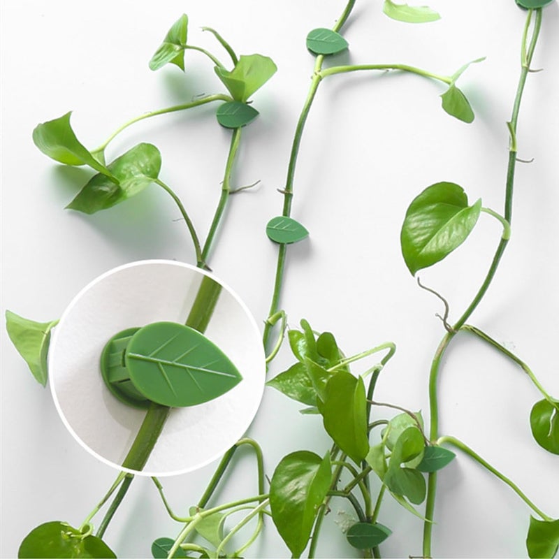 LUOTIVON 72 Pcs Plant Climbing Wall Fixture Clips, Plant Fixer Invisible Wall Vines Fixing Clips with 72 Pcs Acrylic Adhesive Sticker, Self-Adhesive Hook Plant Vine Support Holder - Image 5