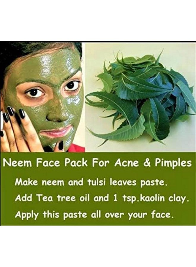 P. N. STORE™ Organic Neem Powder Face Pack for Acne & Pimples Clear and Beautiful Skin and Healthy Hair Pure & Natural, 100 GM Per Pack (Pack of 2) - Image 3