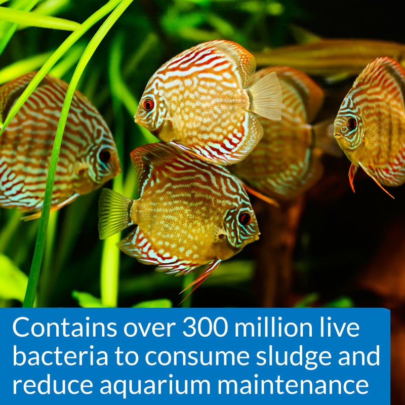 API STRESS ZYME Freshwater and Saltwater Aquarium Cleaning Solution 16-Ounce Bottle - Image 3