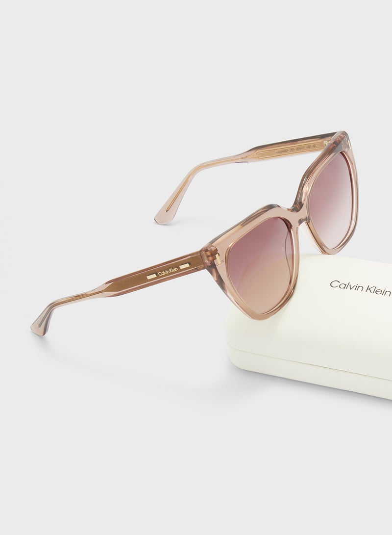 كالفن كلاين نظارات شمسية بفراشة - Image 5