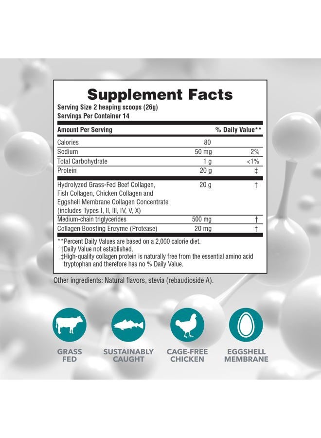 Nature's Plus ببتيدات الكولاجين من ناتشرز بلس، فانيلا - 0.8 رطل مسحوق - صحة الشعر والبشرة والأظافر والمفاصل، دعم جهاز المناعة - غير معدلة وراثيًا، خالية من الغلوتين - 14 حصة - Image 2