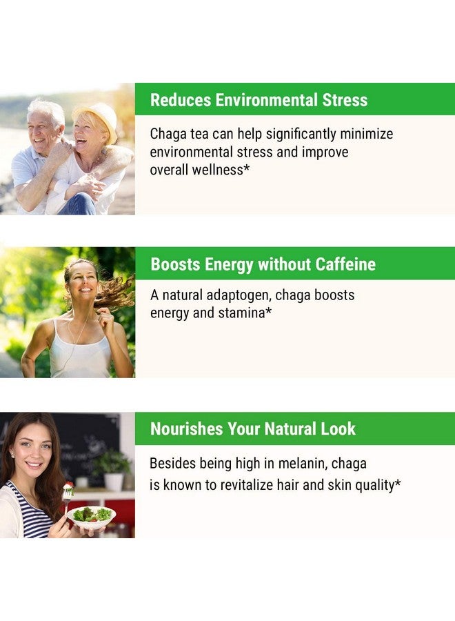 sayan Siberian Pure Raw Chaga Mushroom Chunks With Black Top Crust 4 Oz / 113 G Premium Wild Forest Harvested Super Antioxidant Tea Supports Immune System And Digestive Health - Image 3