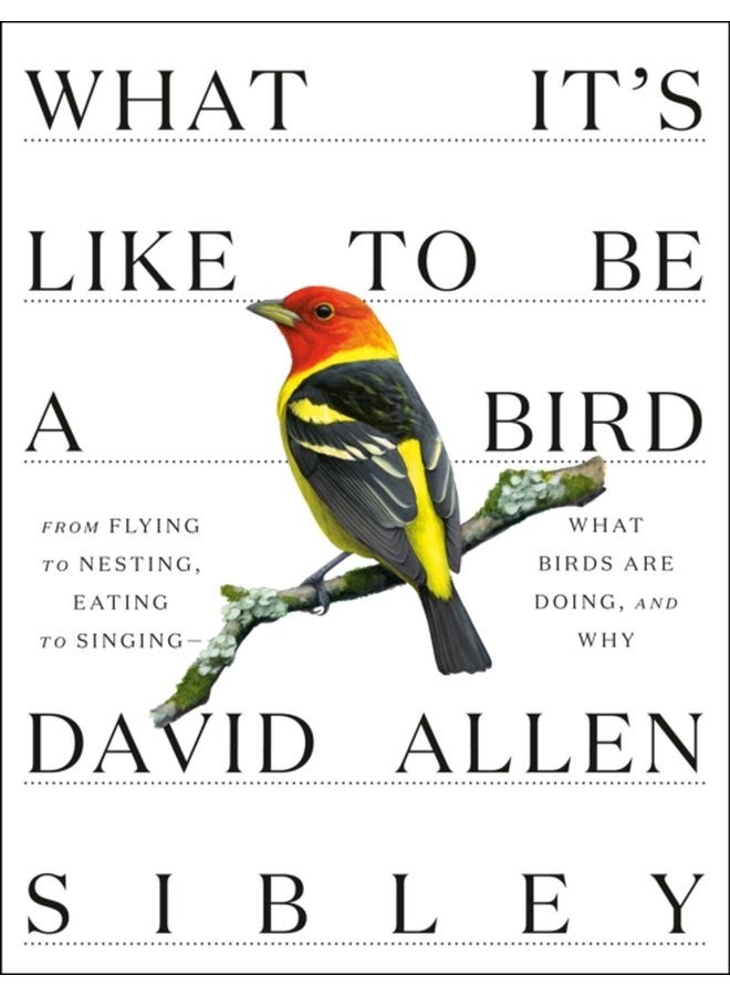 What It s Like to be a Bird - Hardback