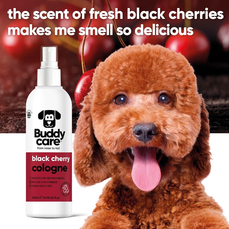 Buddycare عطر بودي كير للكلاب بنكهة الكرز الأسود - 200 مل - Image 4