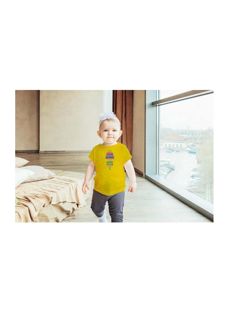 PRINTSHOP4ME 1st Year Birthday Tshirt Toddler Outfit for kids Baby Boys and Baby Girls - Image 4