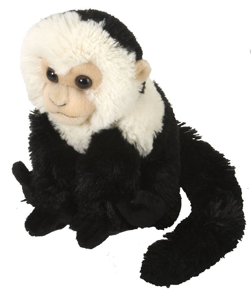 Wild Republic Capuchin Plush  Stuffed Animal  Plush Toy  Gifts for Kids  Cuddlekins 8 Inches  Multi (12274) - Image 1