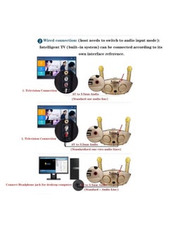 SDRD Karaoke Machine Portable Speaker Bluetooth Karaoke Speaker with Dual Wireless Mics for Kids & Adults, Wireless Speaker for Indoor & Outdoor Party,  Golden  - Image 4