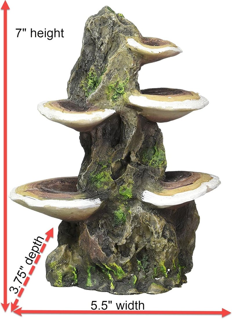 Penn Plax Penn-Plax Mushrooms on Rock Aquarium Ornament - Medium Size (5.5" x 4" x 7.5") - Image 3