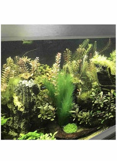 Generic 3 Pcs Artificial Seaweed Water Plants for Aquarium, Plastic Green Plants Aquarium Decorations for Fish Tank, Home Décor  - Image 3