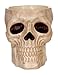Crazy Bonez Skull Candy Bowl - Image 3