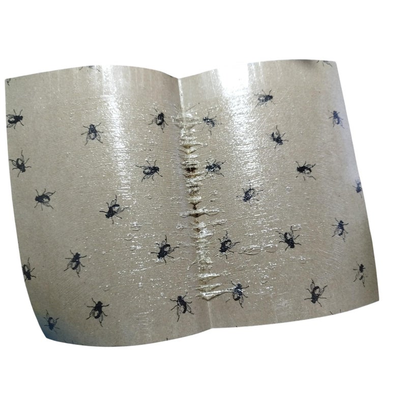 Sticky Insect Trap for Flies Ants Cockroaches Mosquitoes Spider 5 - Image 4