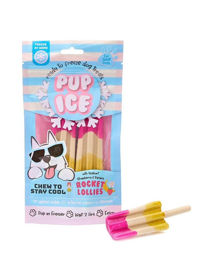 سبوت مكافآت الكلاب من SPOT Pup Ice - جاهزة للتجميد في المنزل - مضغ صالح للأكل للكلاب والجراء من السلالات المتوسطة مع دجاج حقيقي للحفاظ على برودة جروك طوال العام، حلوى روكيت بنكهة الفراولة والموز، قطعتان - Image 1