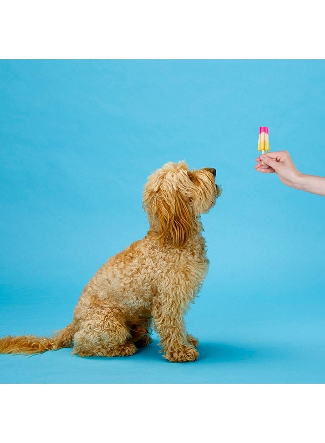 سبوت مكافآت الكلاب من SPOT Pup Ice - جاهزة للتجميد في المنزل - مضغ صالح للأكل للكلاب والجراء من السلالات المتوسطة مع دجاج حقيقي للحفاظ على برودة جروك طوال العام، حلوى روكيت بنكهة الفراولة والموز، قطعتان - Image 5