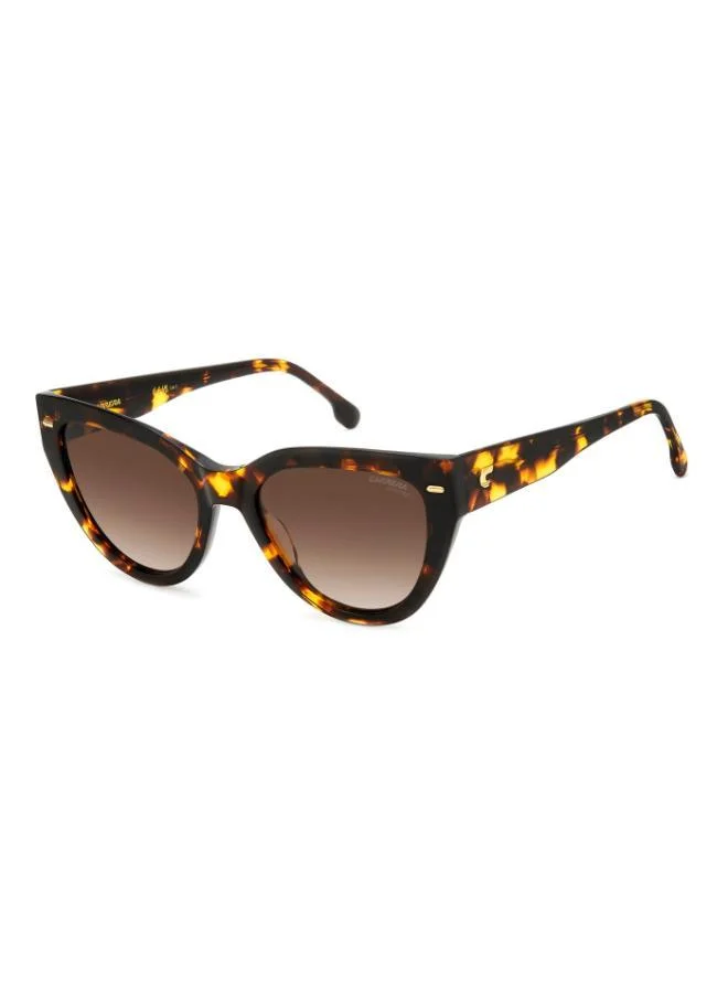 Carrera Cat Eye Sunglasses Frames