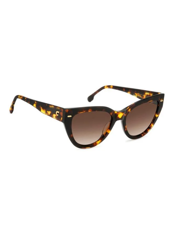 Carrera Cat Eye Sunglasses Frames