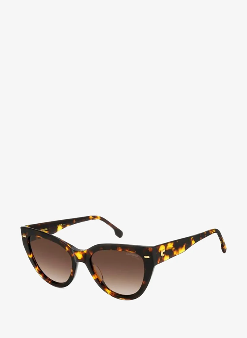 Carrera Cat Eye Sunglasses Frames