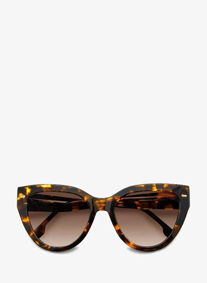 Carrera  Cat Eye Sunglasses Frames  | Best Price UAE