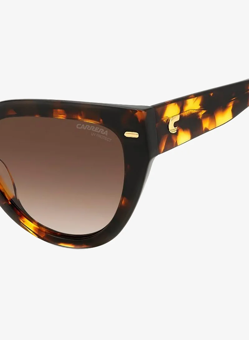 Carrera  Cat Eye Sunglasses Frames  | Best Price UAE