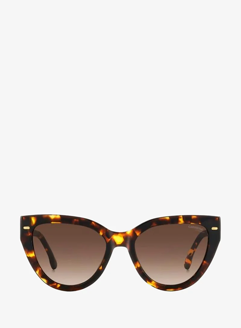 Carrera  Cat Eye Sunglasses Frames  | Best Price UAE