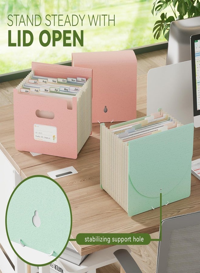 EcoStash Accordian File Organizer, 12 Pockets Wheat Straw Expanding File Folders, Monthly Bill Receipt Organizer, 100% BPA Free, Return to Nature, Healthy Living, Letter/A4 Size - Strawberry Pink - Image 4