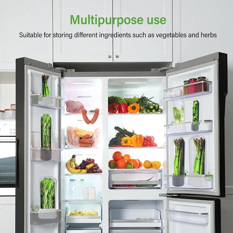 Coriander Saver, Multipurpose Transparent Keep Freshness Corianders Storage Containers Fridge Organizer For Refrigerator Asparagus Vegetable (Black) - Image 3