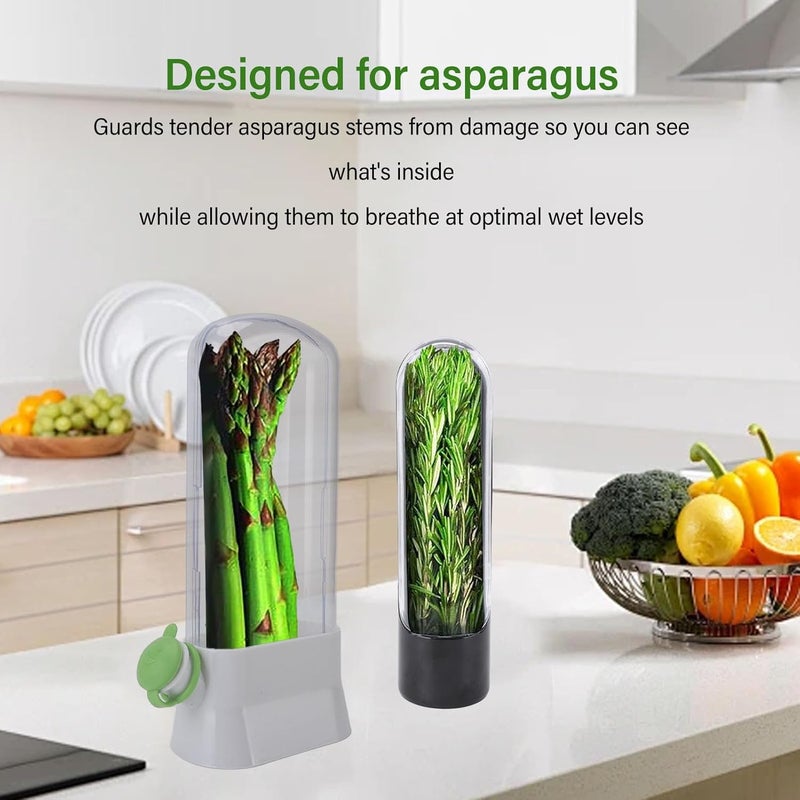 Coriander Saver, Multipurpose Transparent Keep Freshness Corianders Storage Containers Fridge Organizer For Refrigerator Asparagus Vegetable (Black) - Image 2