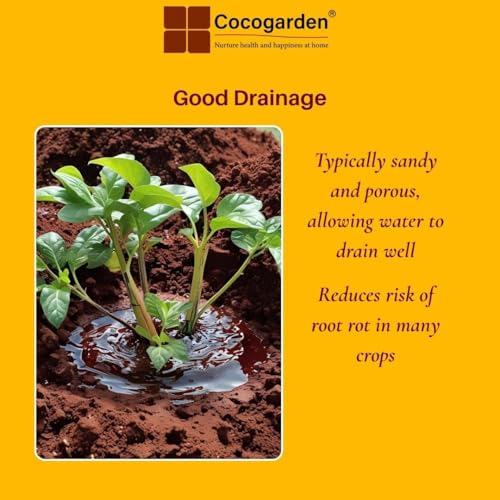 Cocogarden Natural Red Soil for Plants - 2 kg, Organic Fertilizer, Well-Drained Soil for All Vegetables, Flowers and Home Gardening Plants - Image 5