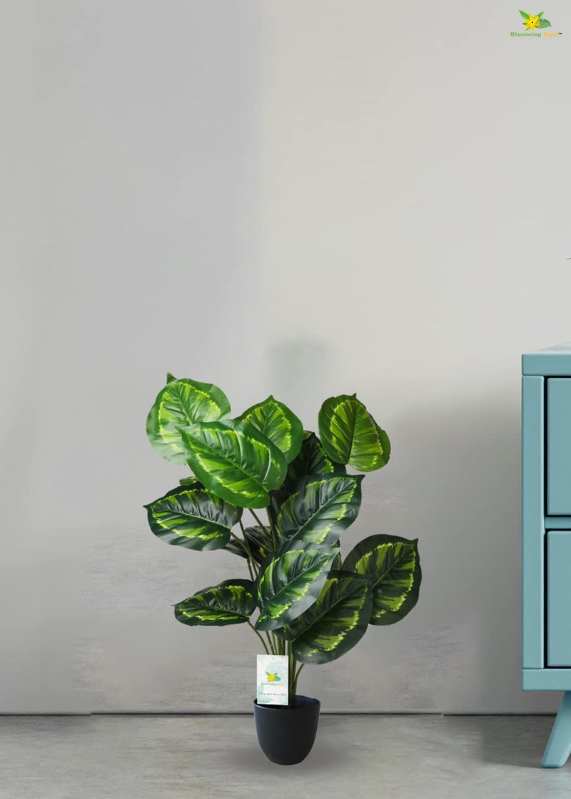 Blooming Floret Artificial Philodendron Plant | 63.5 cm Tall | 18 Green Patterned Leaves | Faux Tropical Plant in Black Pot for Home & Office Décor - Image 5