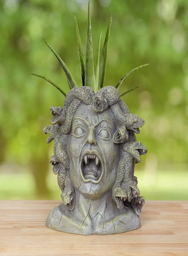 Darware Resin Medusa Head Planter, Large Garden Decor Statue Flower Pot - Image 2