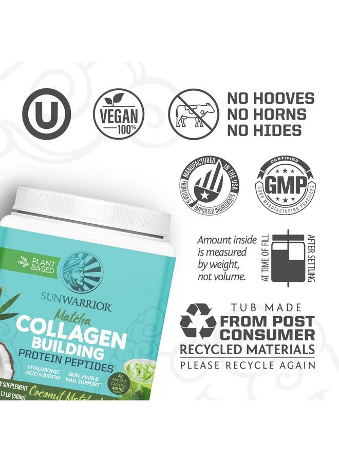 Sunwarrior Vegan Collagen Protein Powder for Women Silica Plant Based Collagen Powder with Vegan Hair Skin and Nails Vitamins Non-GMO No Added Sugar Soy Dairy & Gluten Free (Coconut Matcha, 20 Servings) - Image 3