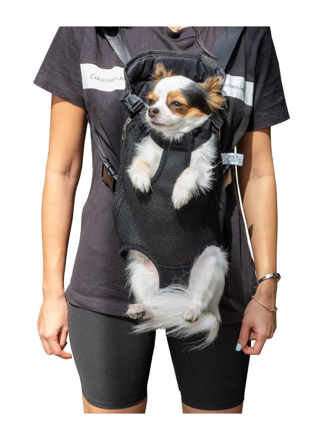 مستر. بين حقيبة ظهر لحمل الكلاب قابلة للتعديل من Mr. Pen Pet، حقيبة ظهر للسفر والمشي لمسافات طويلة، حقيبة ظهر للجراء، حامل أمامي للكلاب - Image 1