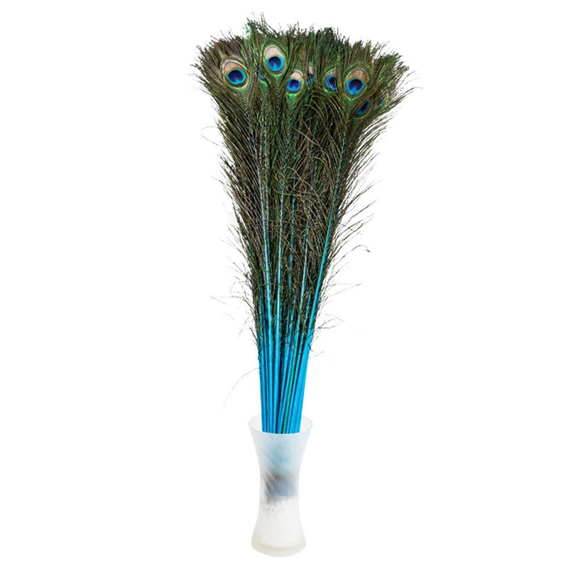 Peacock FeathersHgshow 25 Pcs Bleached  Dyeing Feather Long Pole 2830 inches