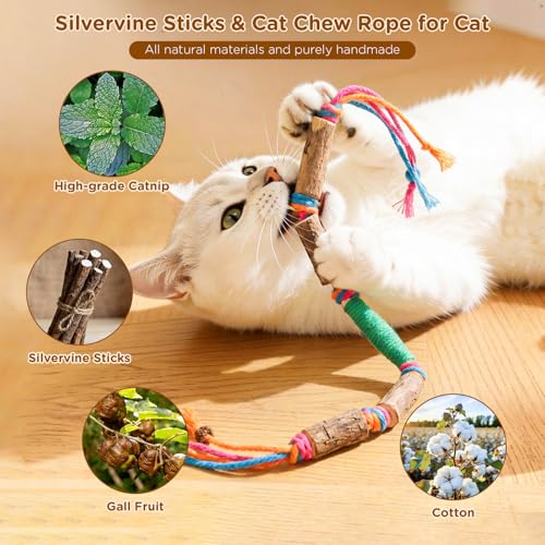 Uyubao Catnip Toys for Indoor Cats - Silvervine Sticks & Cat Chew Toys for Teeth Cleaning - Refillable Natural Catnip & Silvervine Kit for Kittens & Adult Cats - 8 Pack - Image 2