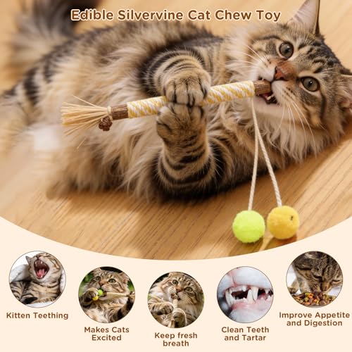 Uyubao Catnip Toys for Indoor Cats - Silvervine Sticks & Cat Chew Toys for Teeth Cleaning - Refillable Natural Catnip & Silvervine Kit for Kittens & Adult Cats - 8 Pack - Image 3