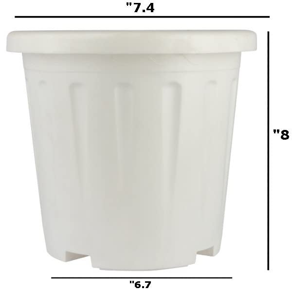Tim Tim Agro 8 Inch Nursery Pots, 15 Packs Variety Plastic Pots with Drainage Hole, Plant Containers for Seedlings, Succulents, Transplanting (White - Round) - Image 2