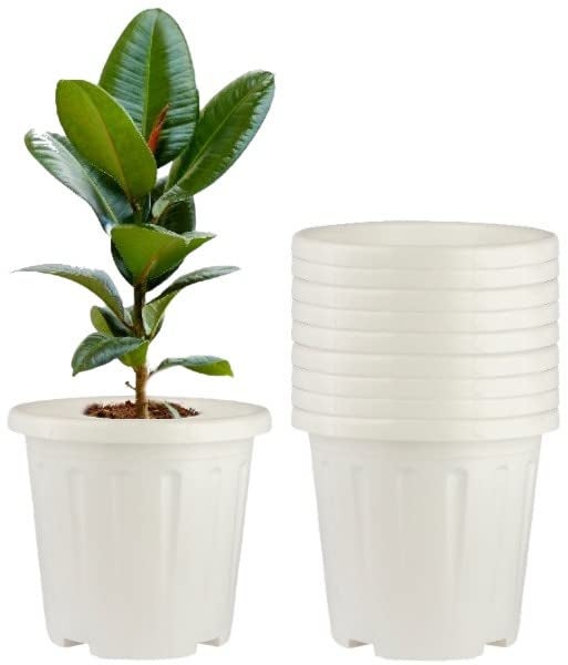 Tim Tim Agro 8 Inch Nursery Pots, 15 Packs Variety Plastic Pots with Drainage Hole, Plant Containers for Seedlings, Succulents, Transplanting (White - Round) - Image 1
