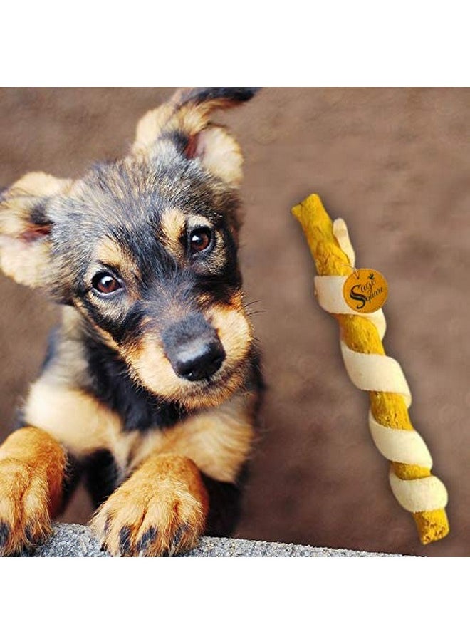 Sage Square Dog Spiral Munchy Sticks Chicken Flavour Perfect For Training & Treating, Long Lasting Chewing, Ideal Treat For Dogs/Puppies (Pack Of 200Gm)  - Image 5
