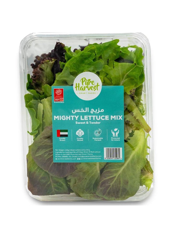 Mighty Lettuce Mix (Crispy Green & Red Lettuce)