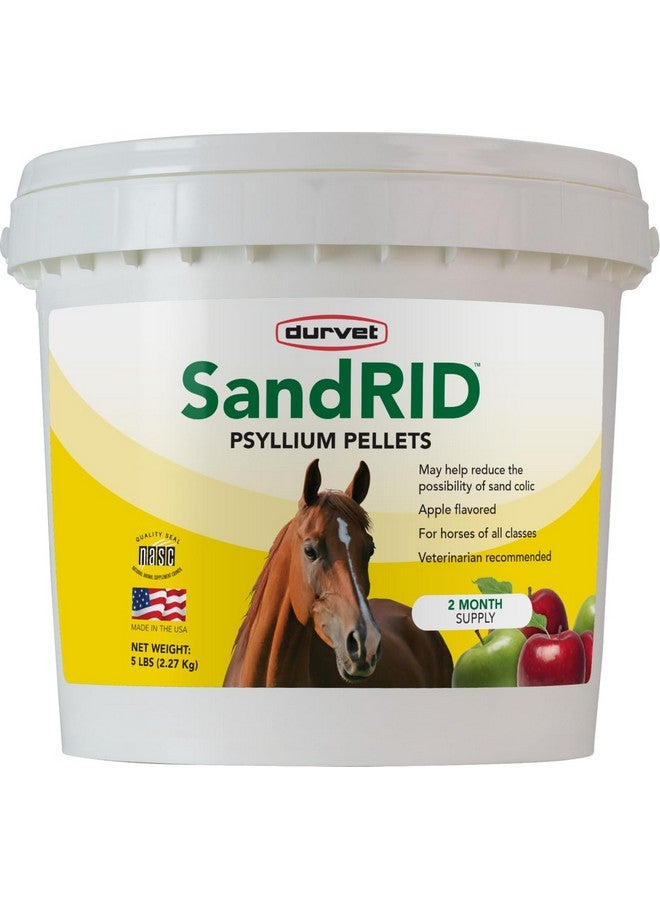 دورفيت حبيبات سيلليوم ساندرايد من دورفيت 699627، 5 أرطال (عبوة من قطعة واحدة)