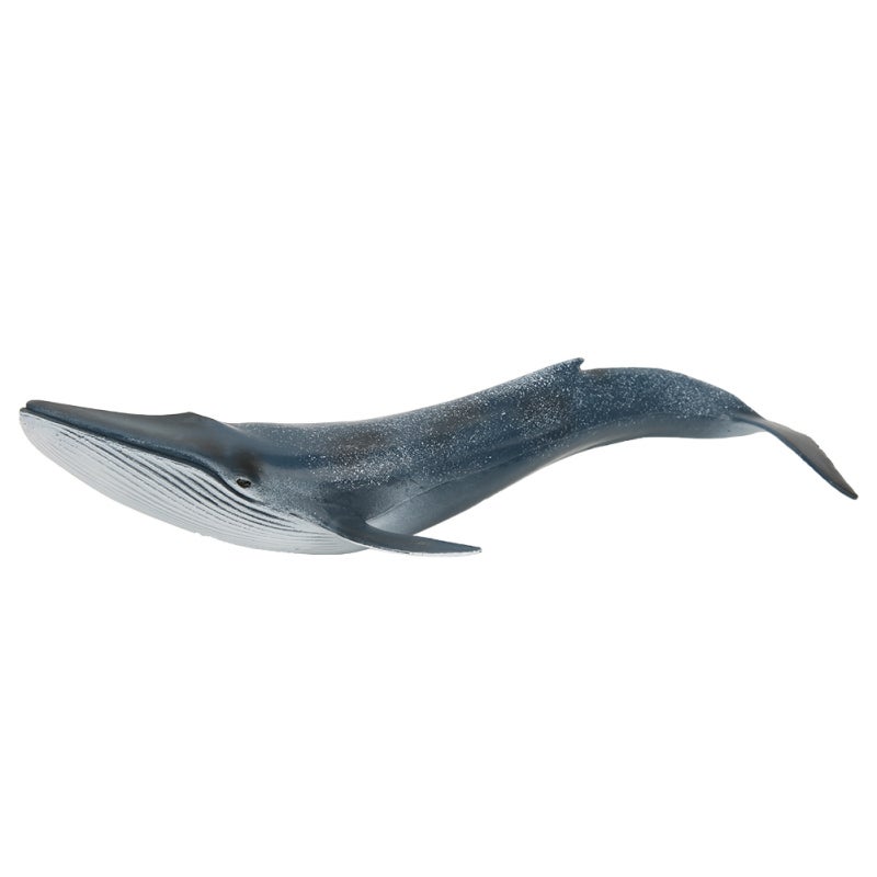 Simulation Fish Model: 100% Non-Toxic Quality Plastic - Vivid Lifelike Details Educational Animal Toy for Kids’ Home Learning & Room Decor - Image 1