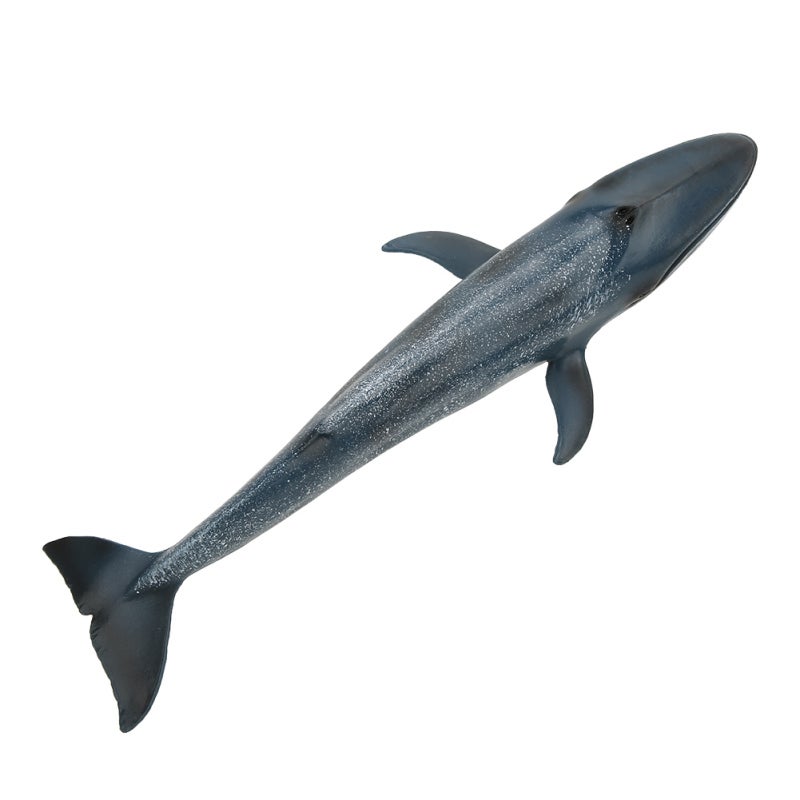 Simulation Fish Model: 100% Non-Toxic Quality Plastic - Vivid Lifelike Details Educational Animal Toy for Kids’ Home Learning & Room Decor - Image 3