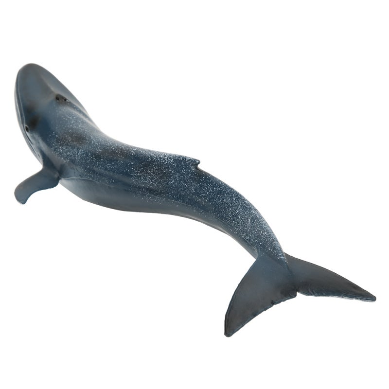 Simulation Fish Model: 100% Non-Toxic Quality Plastic - Vivid Lifelike Details Educational Animal Toy for Kids’ Home Learning & Room Decor - Image 2
