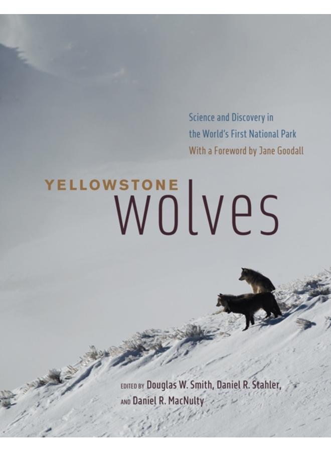 Yellowstone Wolves : Science and Discovery in the World's First National Park