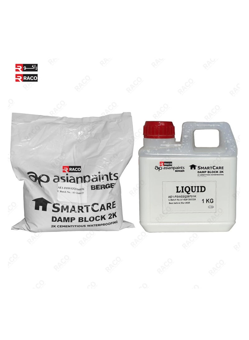 RACO RACO Berger SmartCare Damp Block 2K Water Based High Performance Exterior Wall Damp Proofing Paint  - Image 2