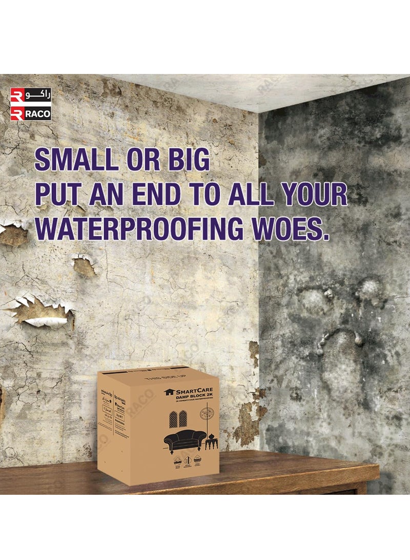 RACO RACO Berger SmartCare Damp Block 2K Water Based High Performance Exterior Wall Damp Proofing Paint  - Image 3
