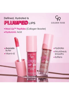 GR PLUMPED LIPS LIP PLUMPING GLOSS NO: 205 - pzsku/ZEE2B475DD03E632DD5F1Z/45/_/1731653876/e85f846b-2bd0-4b59-8958-160a90f8b0b9